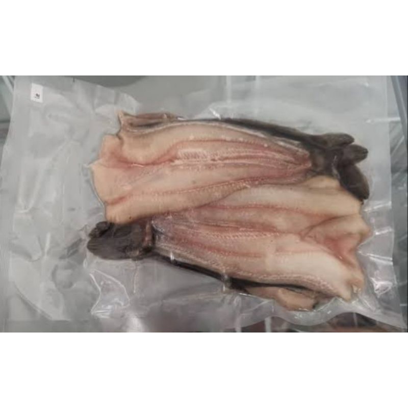 

LELE FILLET FRESH 500GR