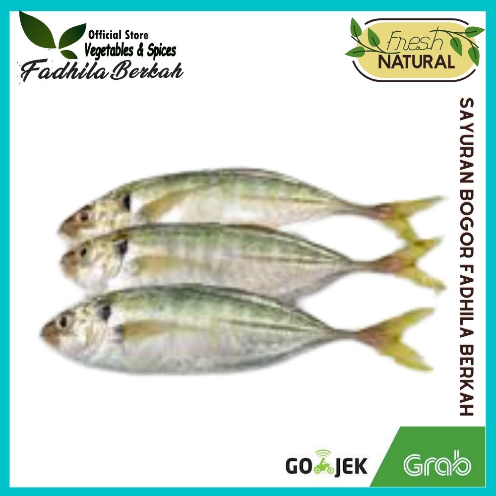 

Ikan Selar Segar 500 gram | Ikan segar bogor | Sayuran segar Bogor | Toko Fadhila Berkah Bogor
