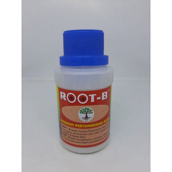 Hormon Pertumbuhan Akar ROOT B 100gram