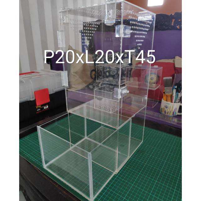 kadang tarantula / enclosure tarantula