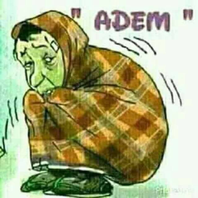 abdullahdull