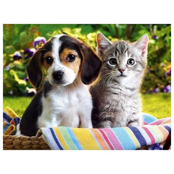 Lukisan Diamond 5d Diy Gambar Anjing Kucing Untuk Dekorasi Rumah