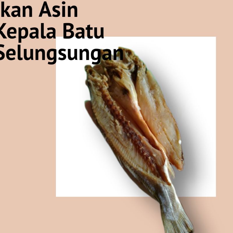 

Ikan Asin Selungsungan Kepala Batu