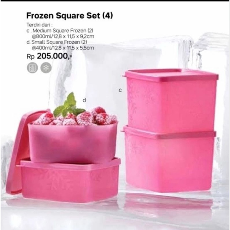 tupperware frozen square set - kotak bekal - kotak makanan