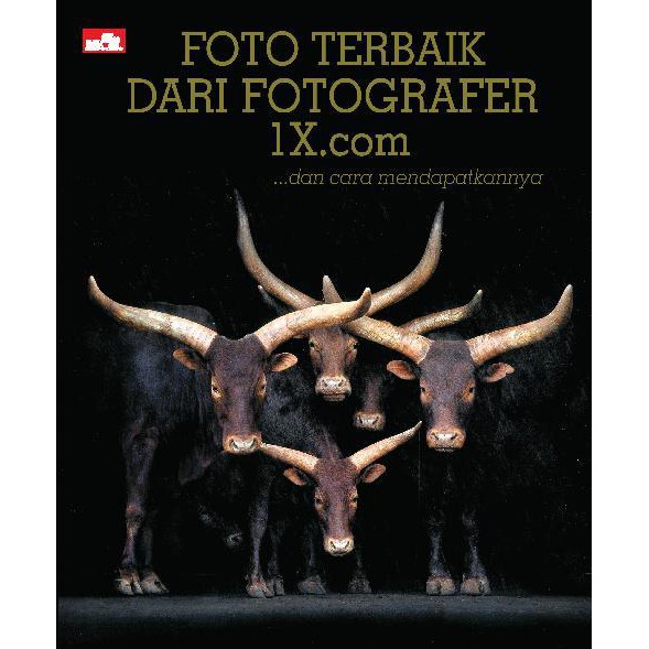 Jual Buku Fotografi - Foto Terbaik Dari Fotografer 1X.com Indonesia|Shopee  Indonesia