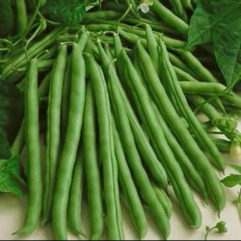 

Buncis Organik 500gr
