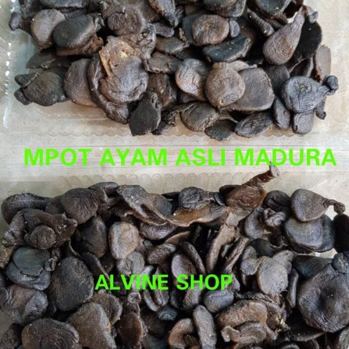 

EMPOT AYAM ALAMI ASLI TANPA OLAHAN/MPOT AYAM MADURA ASLI ALAMI 250 GR COD
