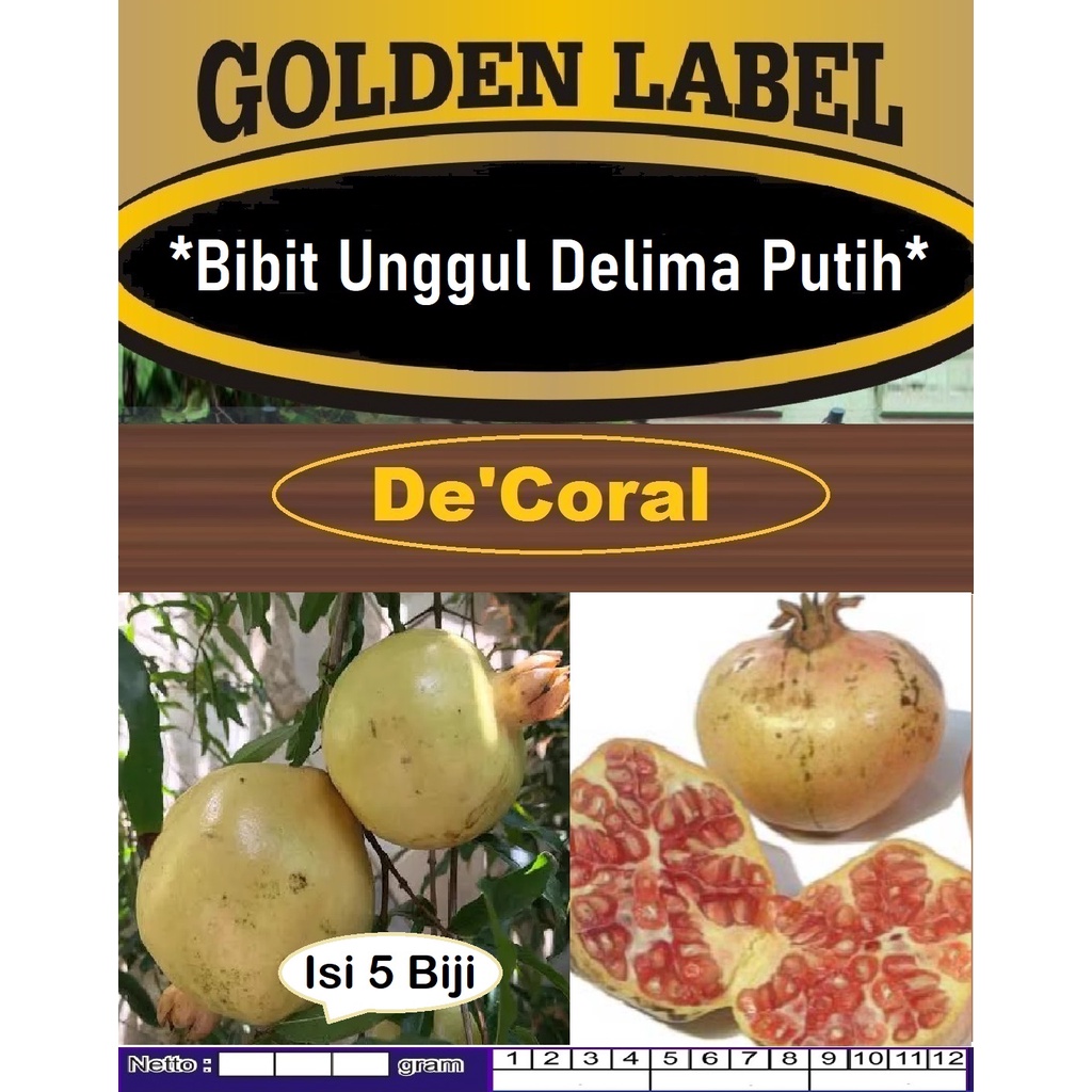 Bibit Unggul Delima Putih | Benih Delima Putih | Bibit Buah Delima