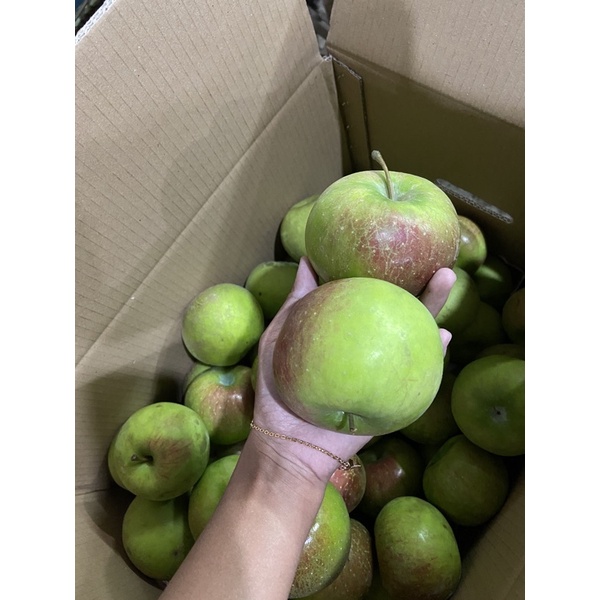 

apel rome beuty jumbo satu kilo isi 5-6 biji (apel malang)