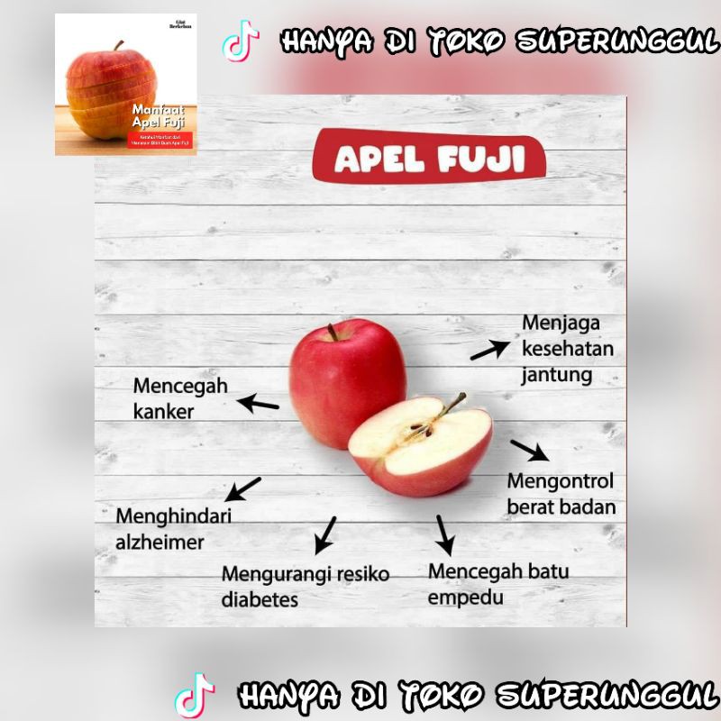 Bibit Apel Fuji Murah Dan Terlaris