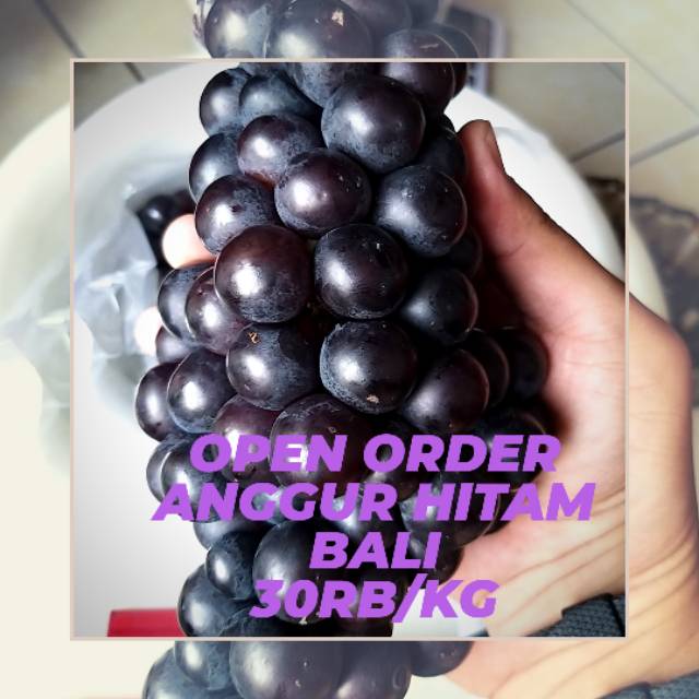 Buah Anggur Hitam Lokal Bali Manis Asam Segar Bukan Anggur Import Shopee Indonesia