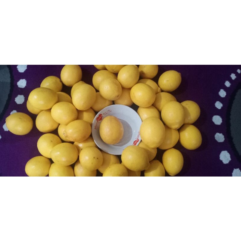 

Lemon California Kwalitas Super