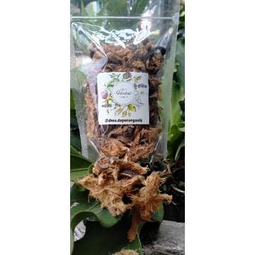 

Mahkota Dewa kering 100 gram