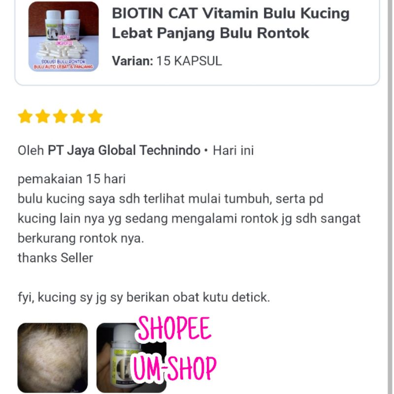 BIOTIN CAT Vitamin Bulu Kucing Lebat Panjang Bulu Rontok Ampuh