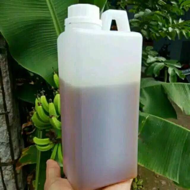

Madu randu