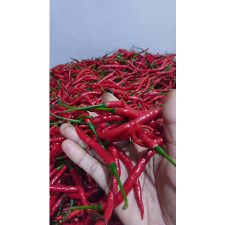 

Cabe merah keriting 250 gram