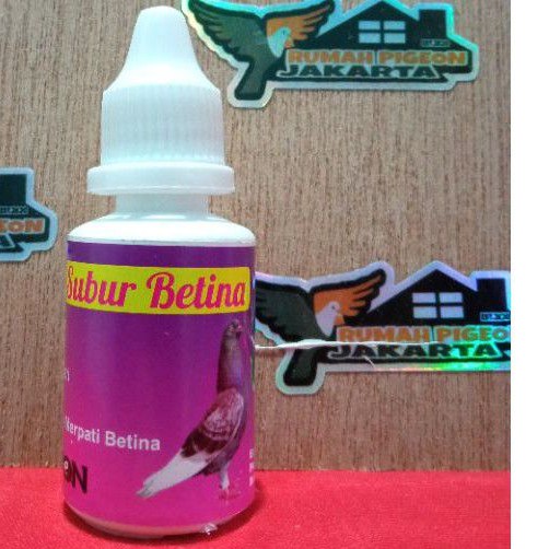 obat tetes subur betina baron burung dara merpati rutin macet telor tidak ada embrio bening