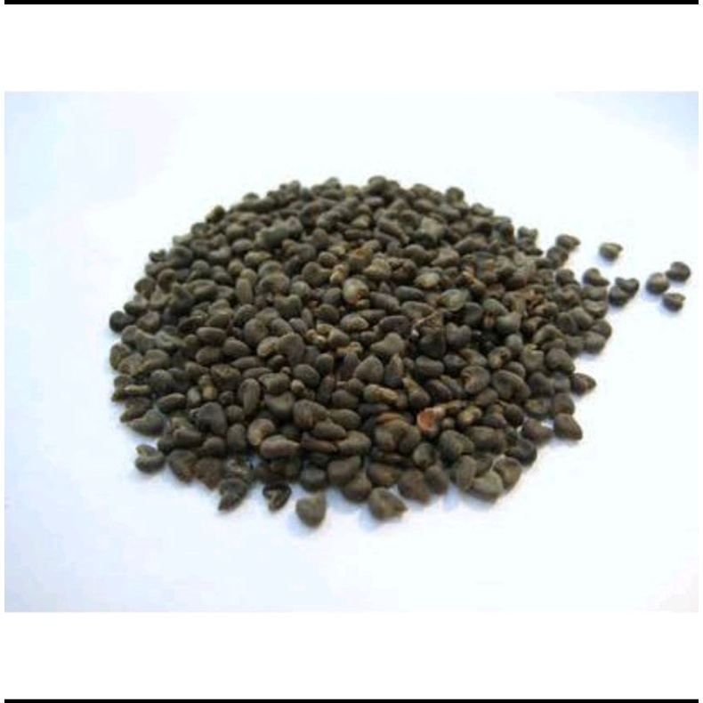 

300 G GR GRAM DONG KUI ZI DONG GUI ZI 冬葵子 CLUSTER MUSK MALLOW SEEDS ABUTILON SEED