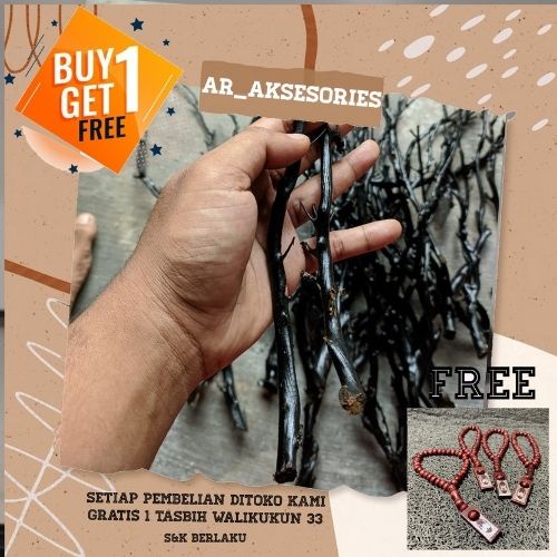 By One Get One Paket isi 2 batang bahan akar bahar hitam asli berserat papua size mild