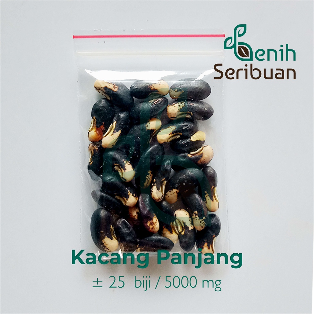 25 Benih Kacang Panjang Sabrina Hitam F1 Unggul Berkualitas - Bibit Tanaman Sayur Sayuran Seribuan-3