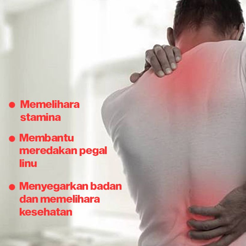 PILKITA Sirup Herbal Pegal Linu 12 Sachet 15 ML Tenaga X Ginseng BPOM Halal Meredakan Pegal Linu Dan