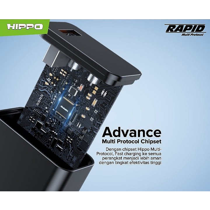 Adaptor HIPPO Rapid