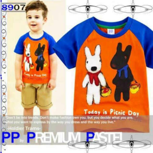 

Premium Pastel 8907