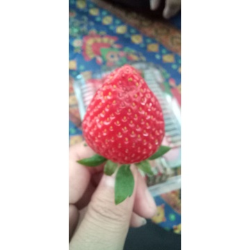 

starwberry