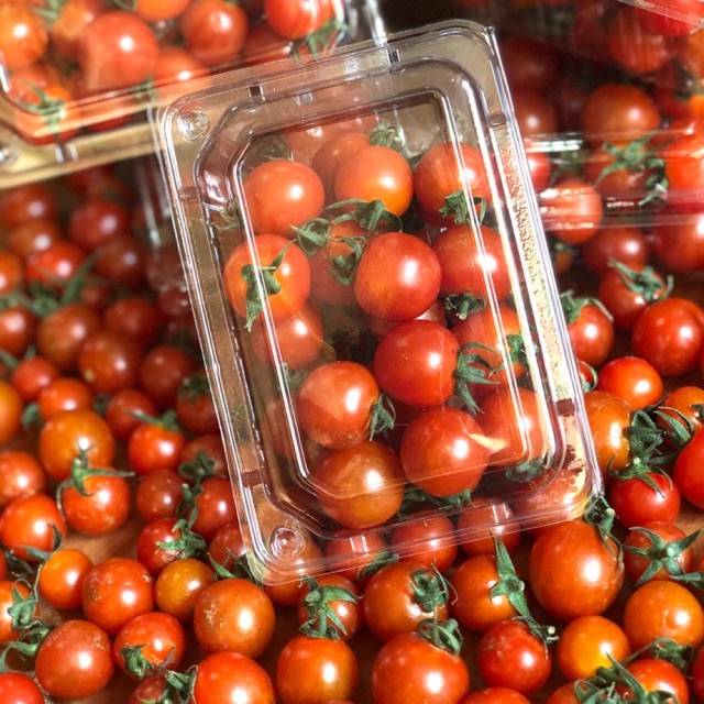 

Tomat Ceri HIDROPONIK 250 gr