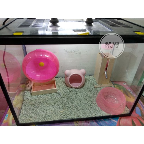 Terarium kandang hamster lucu fullset