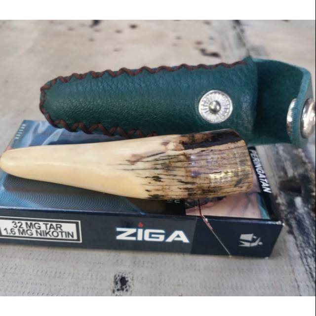 Pipa rokok Taring duyung rasa enak