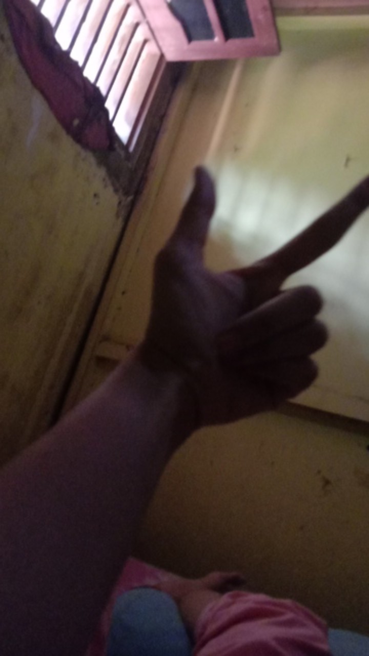 Softlens Mistique Brown Dia 16mm