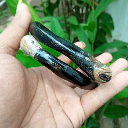 Gelang/Gelang akar bahar/Gelang akar bahar bonggol