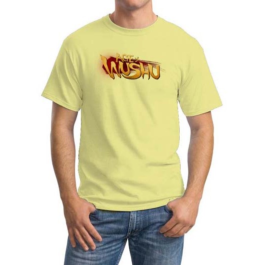 Age Of Wushu Logo