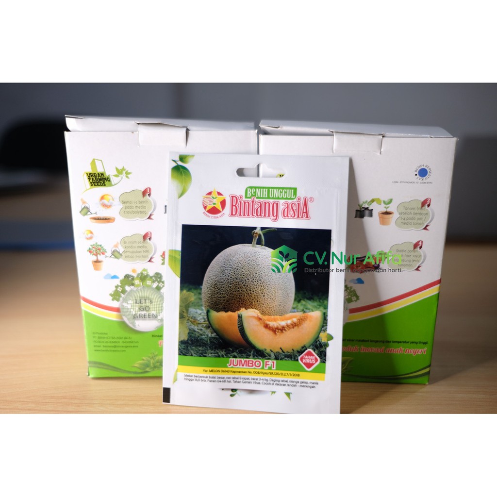Benih Biji Melon JUMBO F1 - Small Pouch (Bintang Asia)