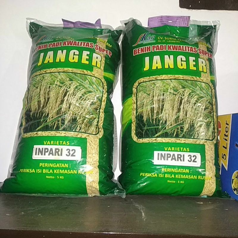 Benih Padi Unggul Janger Inpari 32