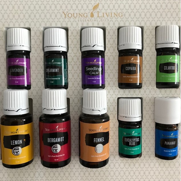 oil 10 paket essential oil lavender lemon eucalyptus spearmint young living original