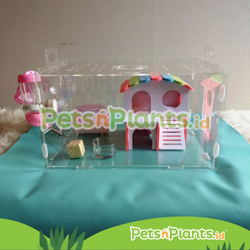 Kandang Hamster Akrilik Acrylic Cage Crystal Clear Import  35 x 25 x 25 cm