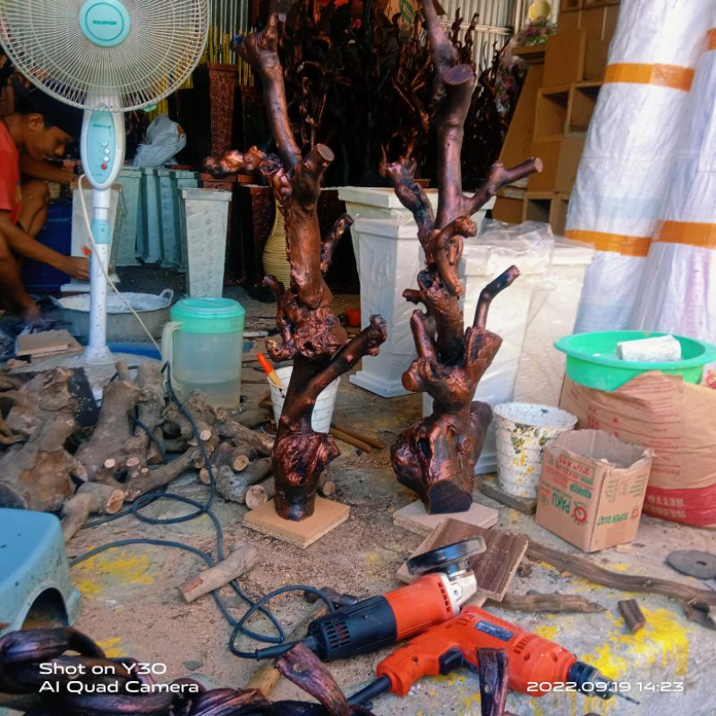 BATANG KAYU TINGGI 1 METER // SIAP RANGKAI SUPER , KAYU BONSAI / POHON BONSAI / POHON BUNGA / POHON 