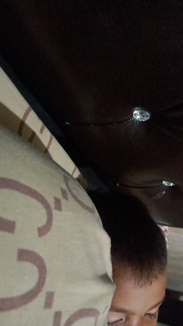 Sarana Peraga - Torso Kerangka Manusia Besar - Alat Peraga Sekolah