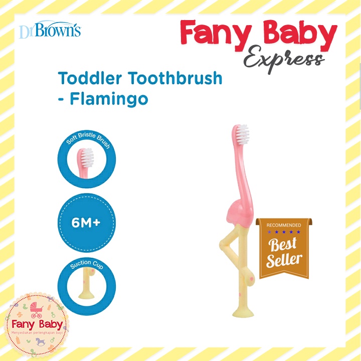 DR BROWNS TODDLER TOOTHBRUSH