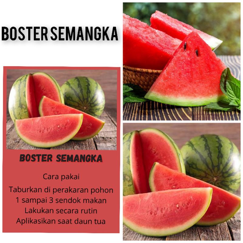 BOSTER SEMANGKA BOOSTER SEMANGKA PUPUK SEMANGKA
