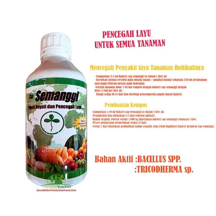 Semanggi Trichoderma Sp Cair Plus Bacillus SP Pupuk Hayati Organik