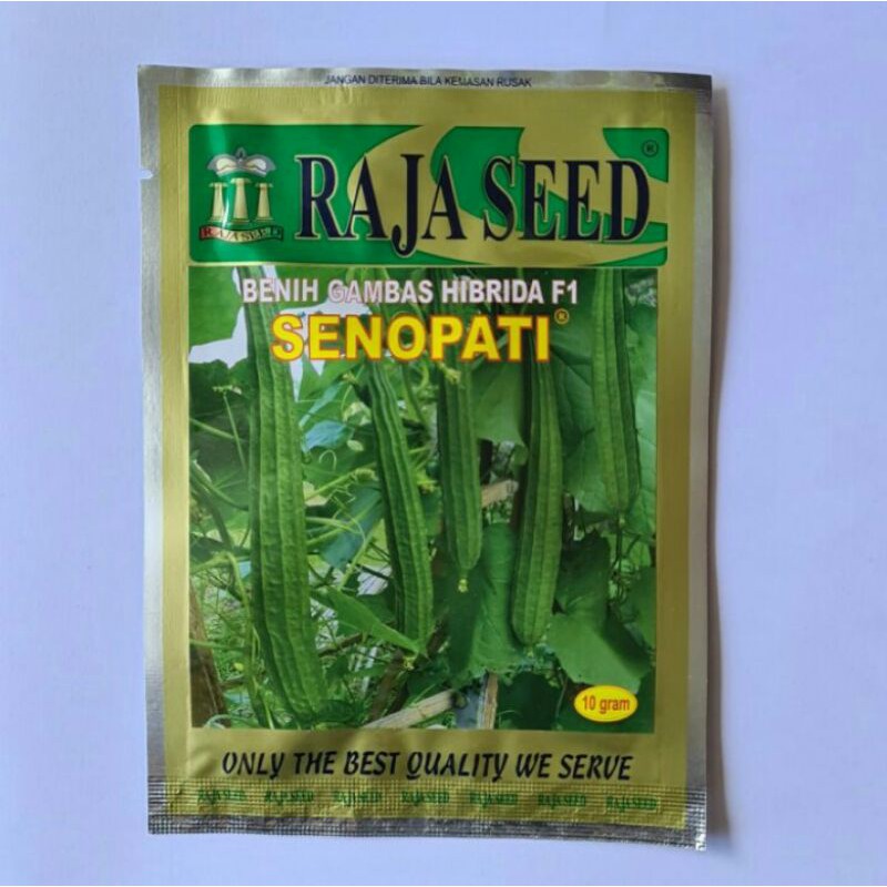 Benih Oyong Hibrida SENOPATI F1 isi 10gr - Bibit Gambas Hibrida Unggul