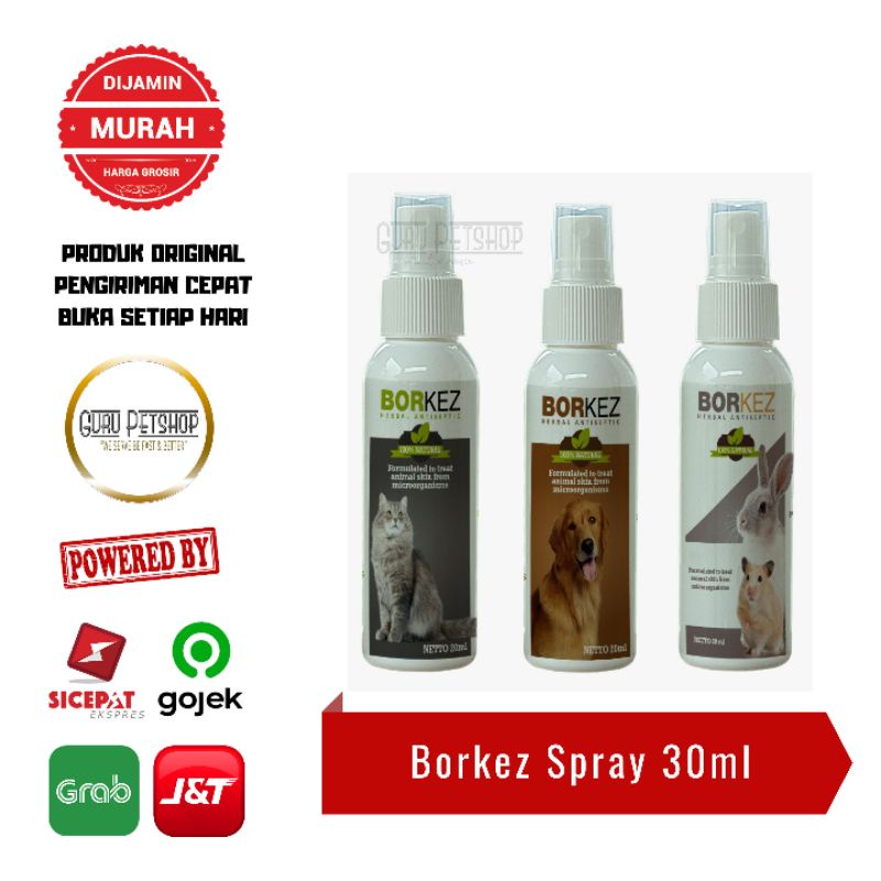 Borkez Antiseptic Spray 30ml Anjing Kucing Kelinci Obat Spray Scabies Jamur