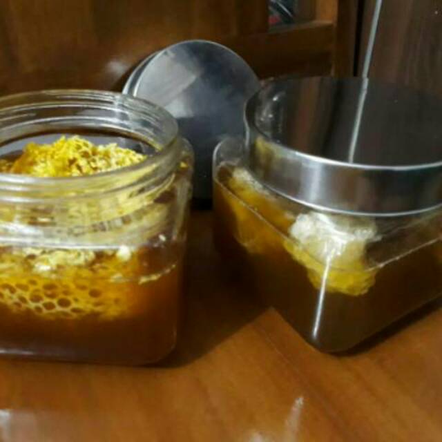 

Madu odeng hutan
