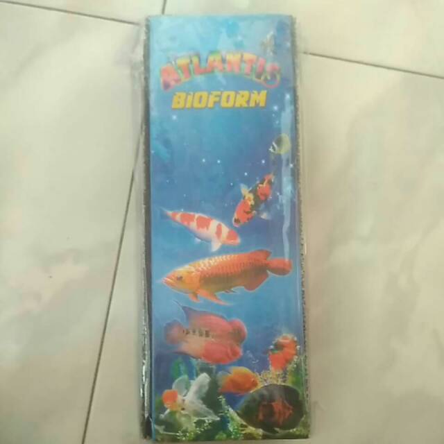 Biofoam busa filter aquarium