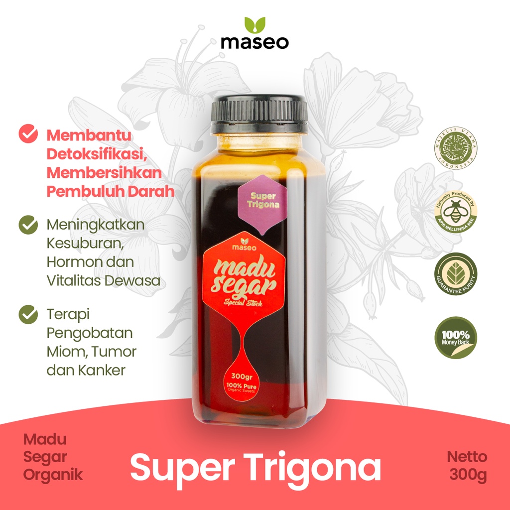 

Madu Klanceng Super Trigona Maseo 300gr Kelanceng Kelulut Asli Murni Obat Diabetes Stroke Jantung