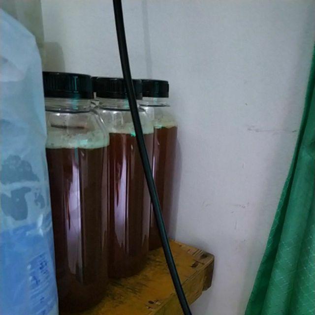 Jerigen 500 Ml / Botol Madu 500 Ml