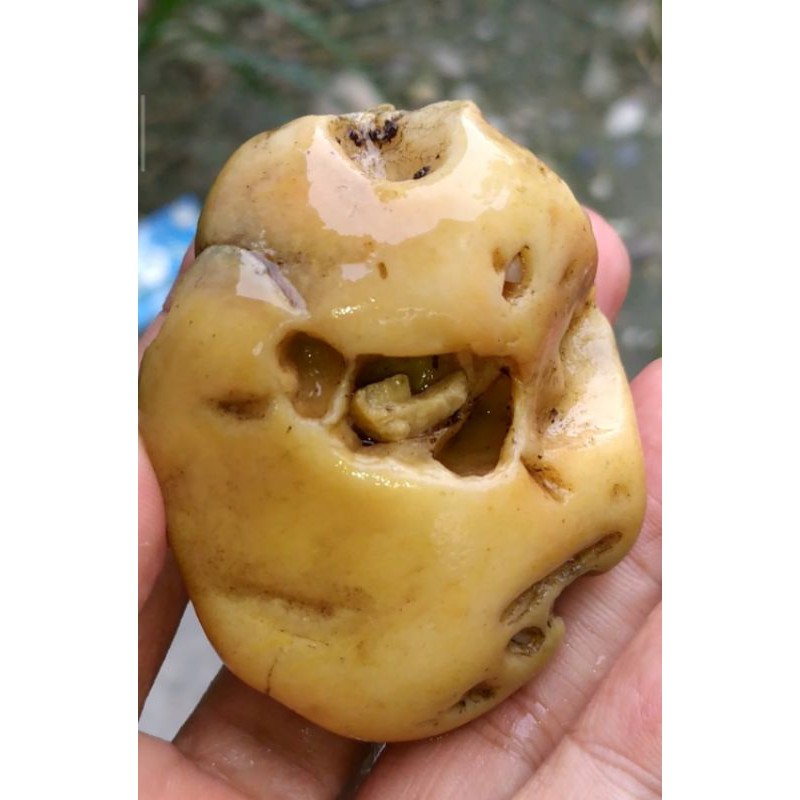 rough batu alam asli antik dan langka code F54